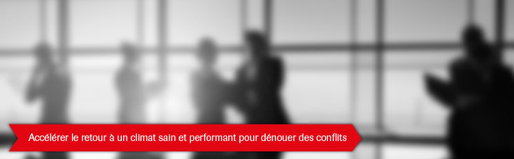 conseils et accompagnement